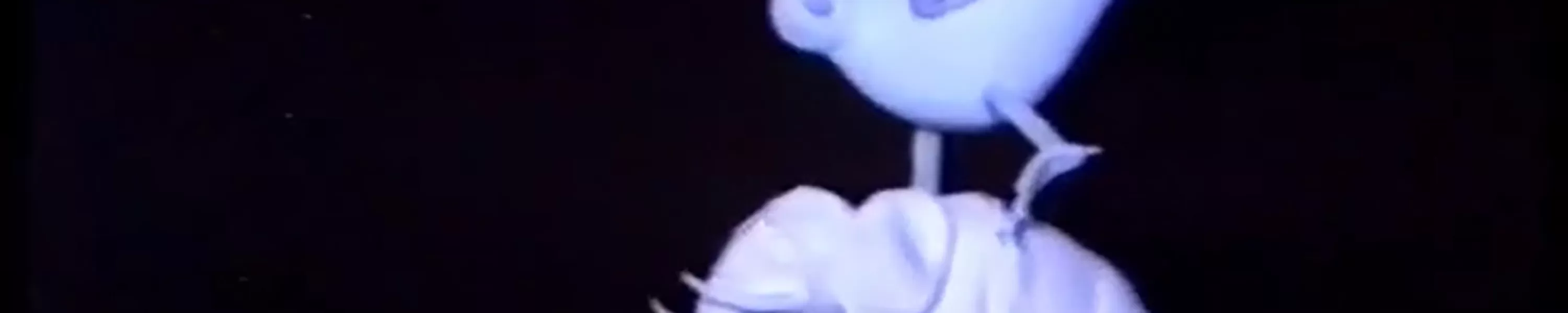 الفيل الأبيض