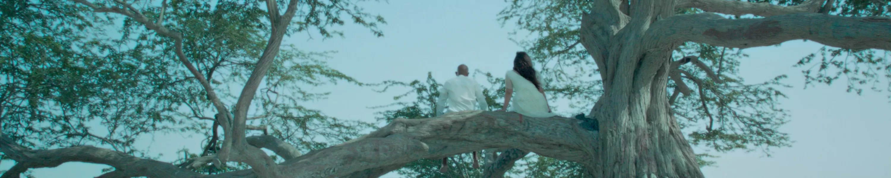 The Sleeping Tree