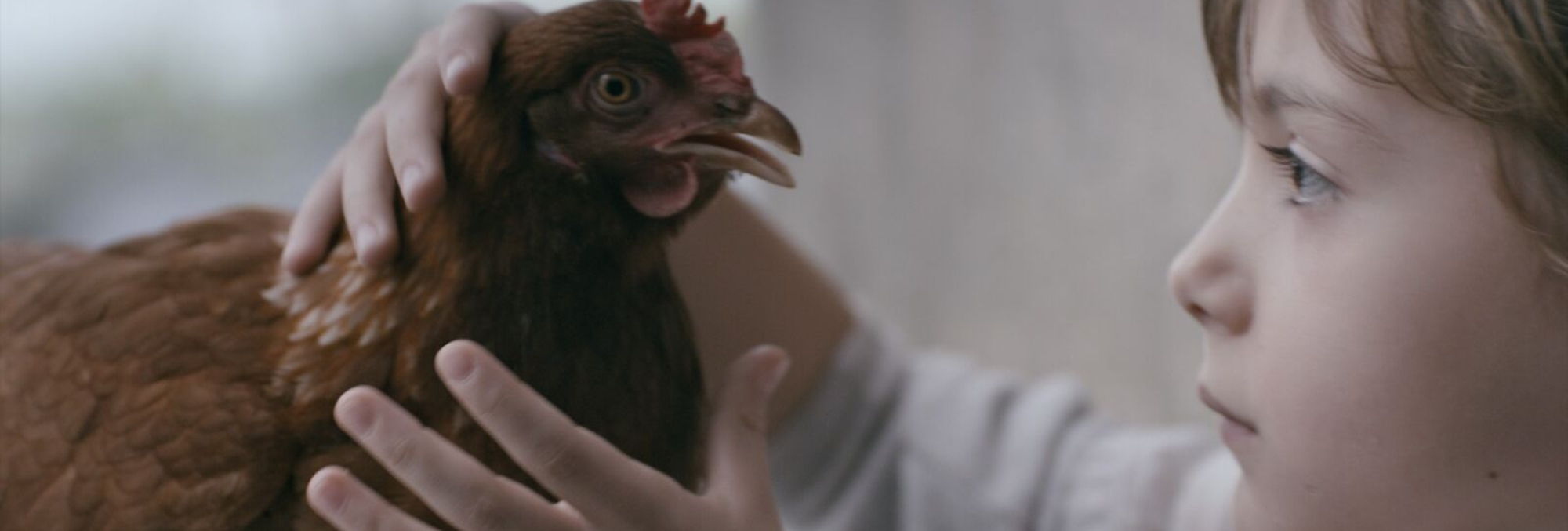The Chicken
